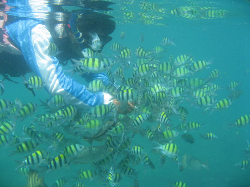 Andaman diving